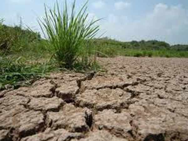 எல் நினோ பாதிப்பு