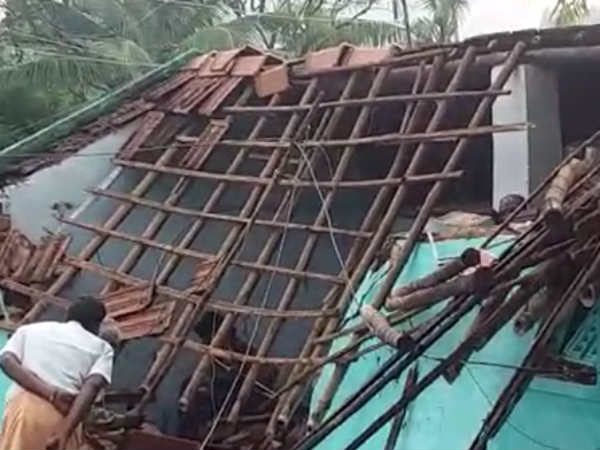 elephant breaks the house for rice in kovai elephant breaks the house for rice in kovai