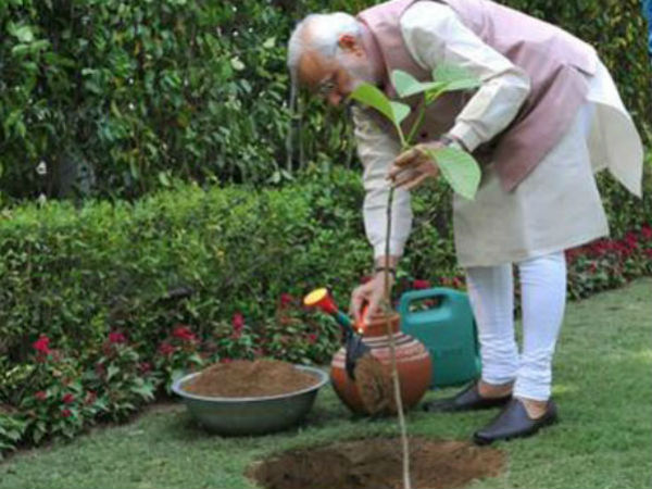 we have to take oath to grow atleast one tree to save the earth on this world environment day we have to take oath to grow atleast one tree to save the earth on this world environment day