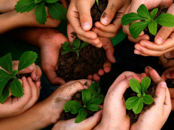 we have to take oath to grow atleast one tree to save the earth on this world environment day we have to take oath to grow atleast one tree to save the earth on this world environment day