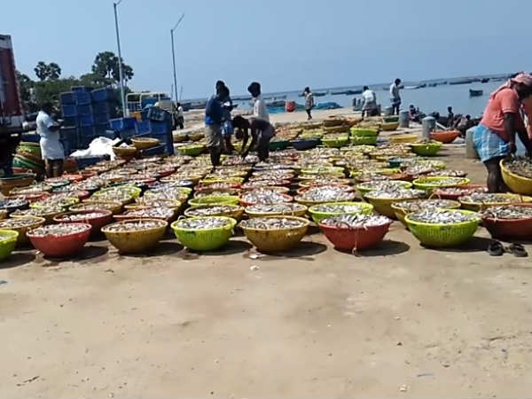 மீன்போக்குவரத்து இல்லை