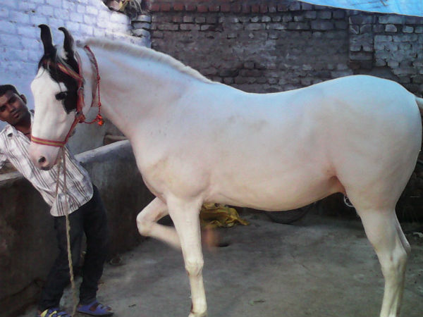 தினமும் கஷ்டம்