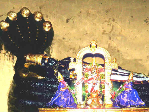 தோல் நோய்க்கான ஜோதிட காரணங்களும் கிரக நிலையும்: