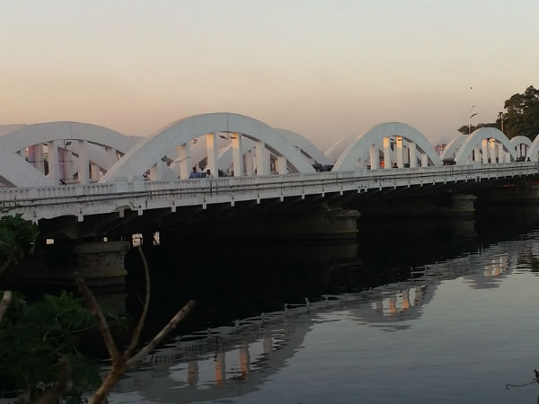 Man falls off from Napier bridge and commits suicide Man falls off from Napier bridge and commits suicide