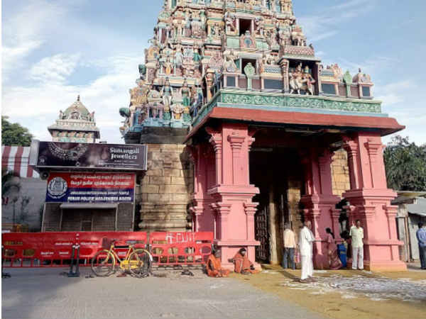 இறவாப்பனை