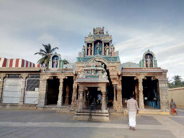 பிறவா புளி