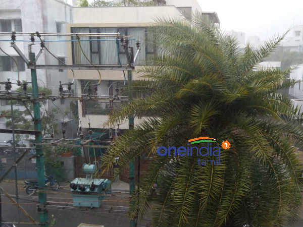பலத்த காற்றுடன் மழை