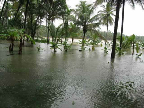 தக்கலை, குளச்சல்