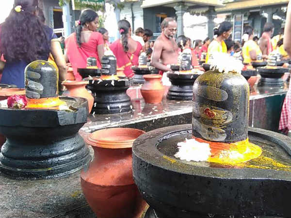 Do you know the blessing of Shiva Puja? Do you know the blessing of Shiva Puja?