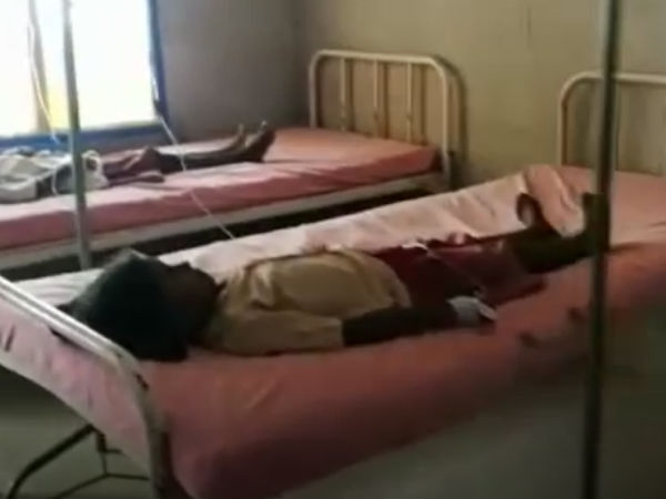 3 snakes came in school campus, students affected by fear 3 snakes came in school campus, students affected by fear