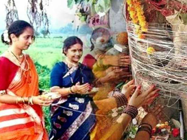 vat savitri puja is performed by married women for the longevity well being and prosperity of their husbands vat savitri puja is performed by married women for the longevity well being and prosperity of their husbands