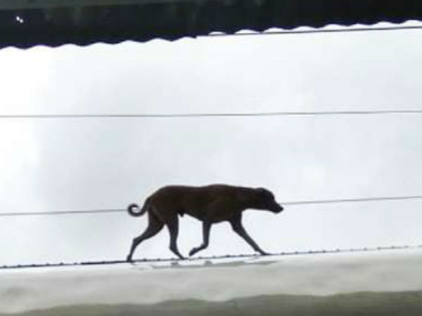 மீண்டும் புறப்பட்ட ரயில்: