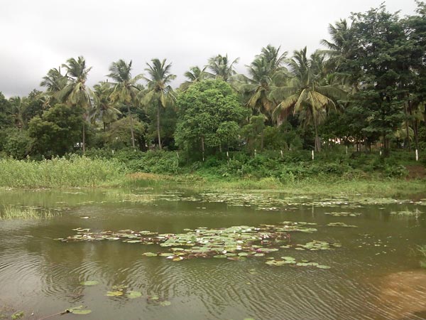 நிலத்தடி நீர் காணாமல் போகும்