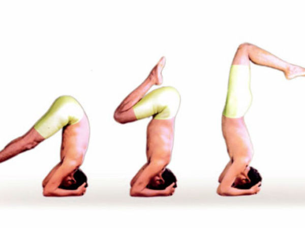 International yoga day is used to celebrate to make the people to get knowledge and effects of yoga on the health of the people International yoga day is used to celebrate to make the people to get knowledge and effects of yoga on the health of the people