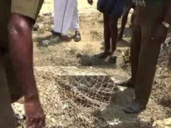 புதிய 2 கூண்டுகள்