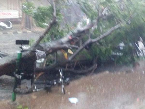 கொடைக்கானலிலும் பாதிப்பு