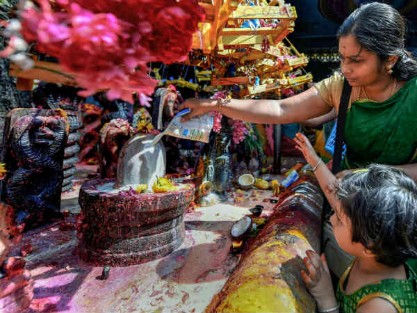 புற்றுக்கு பால் வார்த்து வழிபாடு