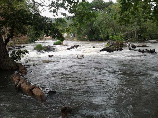 What TN will ask Cauvery Management Authority in the first-ever meeting What TN will ask Cauvery Management Authority in the first-ever meeting