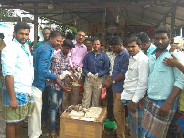 30 மீன்களில் பரிசோதனை
