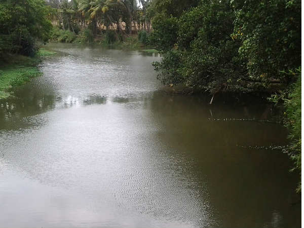 புண்ணிய நதி தாமிரபரணி