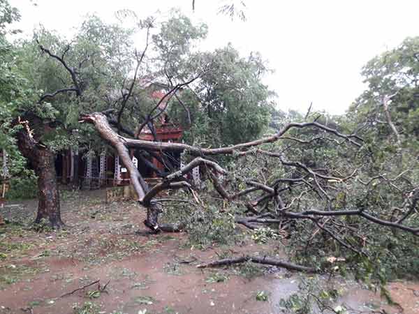 தமிழகமும் இருக்கே