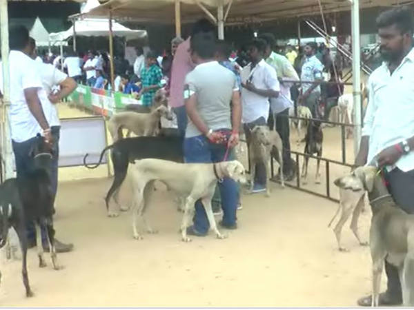 பரதநாட்டியத்துடன் தொடக்கம்