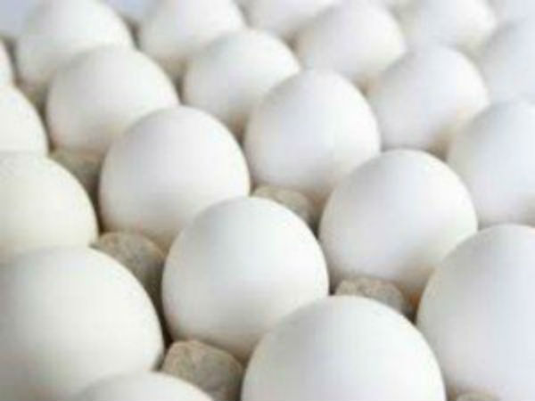 Tamilnadu government’s egg tender should give to poultry farms Tamilnadu government’s egg tender should give to poultry farms