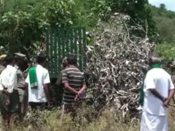 நாய்களை கொன்ற கொடூரம்