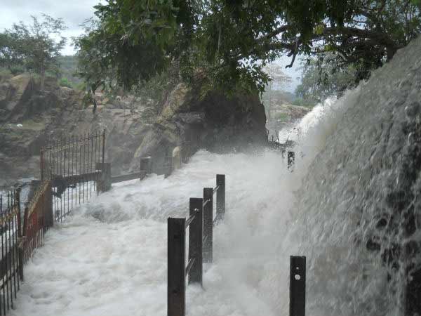 ஒகேனக்கல்லில் வெள்ளப்பெருக்கு