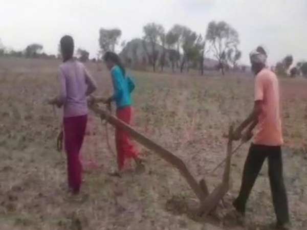 In UttarPradesh 2 daughters in plough In UttarPradesh 2 daughters in plough