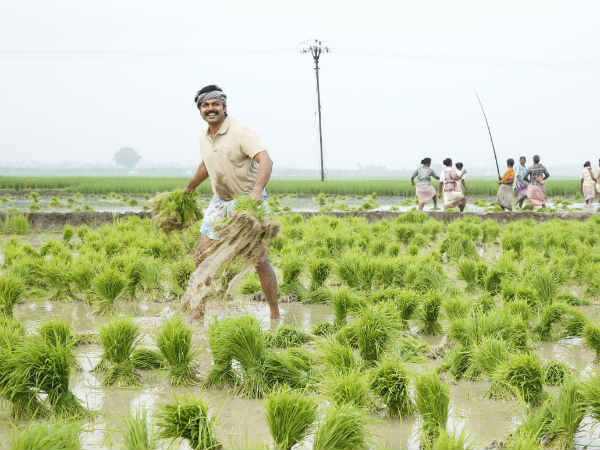 போராடி இருப்பேன்: