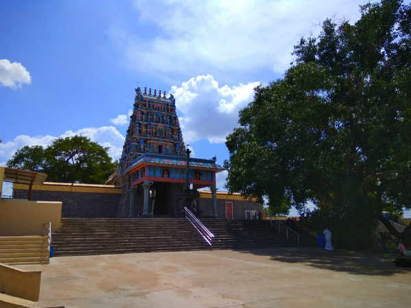 அருகம்புல்,மிளகு, கீழாநெல்லி