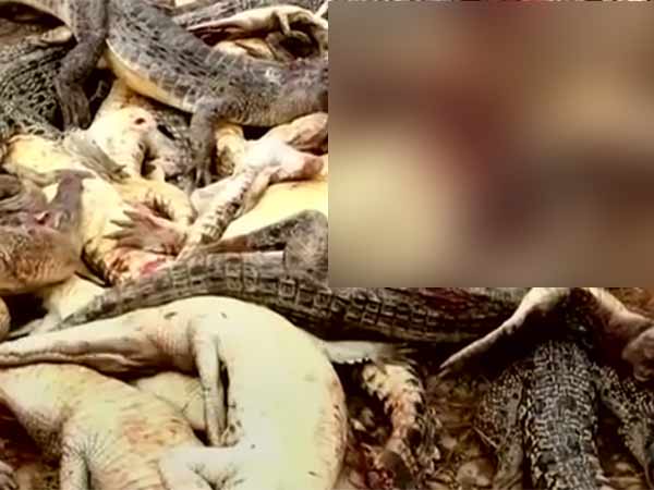பயங்கர ஆயுதங்களுடன்