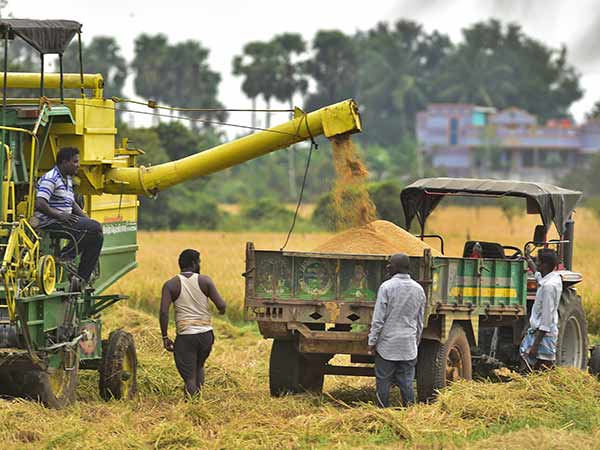 நெல் கொள்முதல்