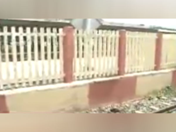 தலைகள் துண்டானது