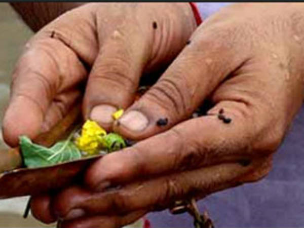 பிள்ளை வரத்திற்கு தடை