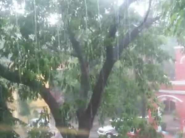 மழை பெய்யும்