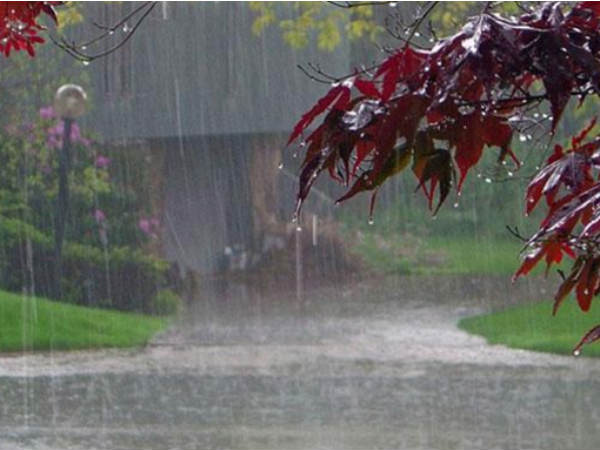Convection might create rainfall in parts of TamilNadu: MET alerts Convection might create rainfall in parts of TamilNadu: MET alerts
