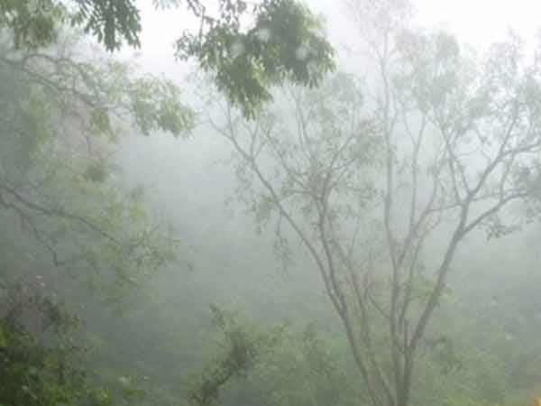 rain rain