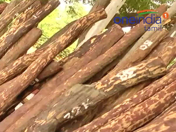2 people arrest and 300 kg Red wood caught near Thiruvallur 2 people arrest and 300 kg Red wood caught near Thiruvallur