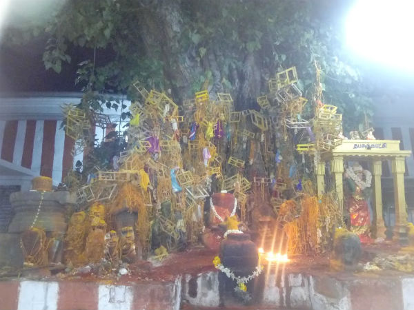 108 முறை சுற்றி வழிபட்ட பக்தர்கள்