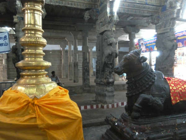 தவக்கோலத்தில் அம்மன்