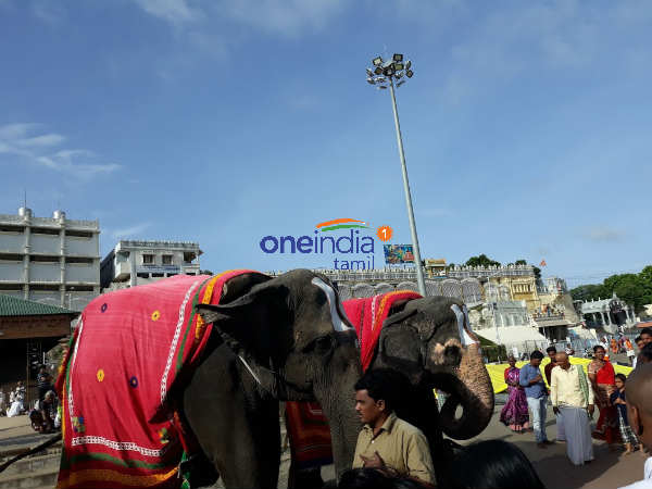 12ஆம் தேதி முதல் விழாக்கோலம்