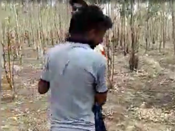 பெண்ணை இழுத்துச்சென்று