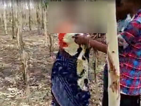 பலாத்காரம் - வீடியோ