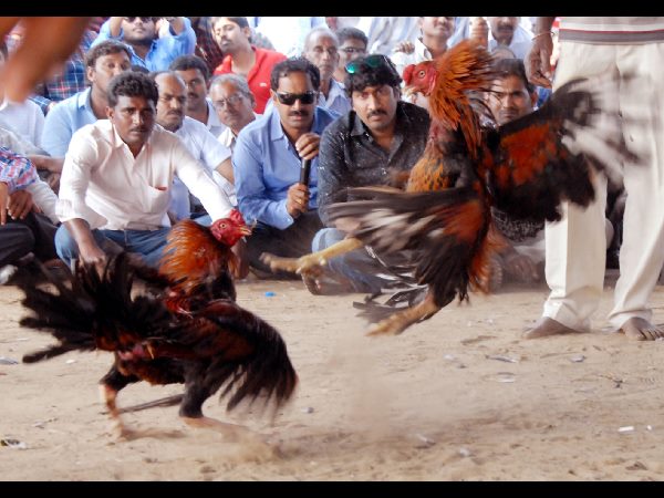 காவல்துறை தடுக்கலாமே?