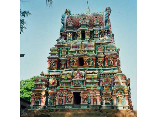 நீலிவனேஸ்வரர் கோவில்