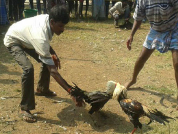 மருத்துவமனையில் மாணவர்கள்