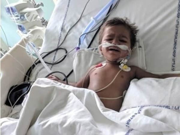 2-Year-Old Struggles With Multiple Organ Failure 2-Year-Old Struggles With Multiple Organ Failure