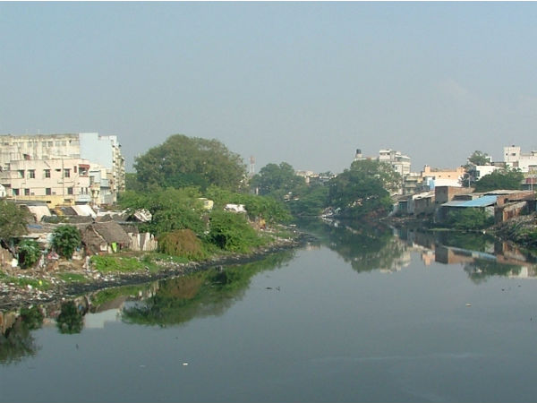 கூவத்தில் விழுந்தார்